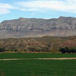 Pasture near Truth or Consequences, NM