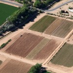 Farm Lands recently planted
