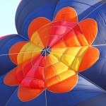 Lots of balloon colors